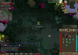 Screenshot of Steel ring