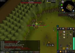 Screenshot of Bryophyta's essence