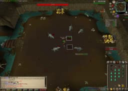 Screenshot of Scurrius' spine
