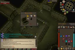Screenshot of Verac's helm
