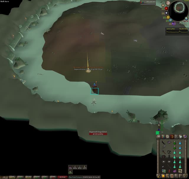 Screenshot of Berserker ring