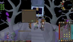 Screenshot of Zorya's tome (uncharged)