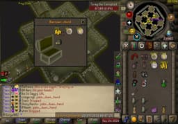 Screenshot of Torag's helm