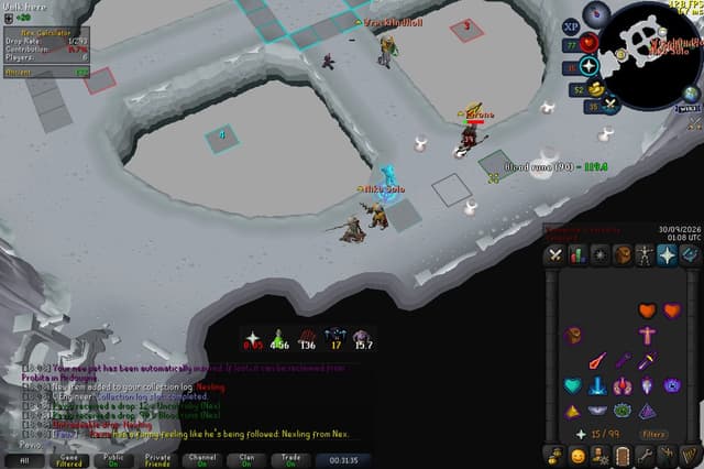 Screenshot of Nexling