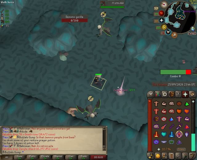 Screenshot of Zenyte shard