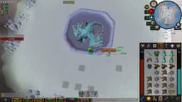 Screenshot of Vorkath's head