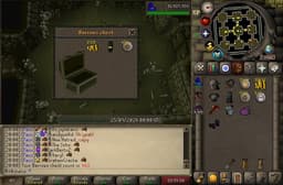Screenshot of Dharok's platelegs