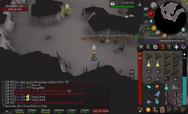Screenshot of Viggora's chainmace (u)