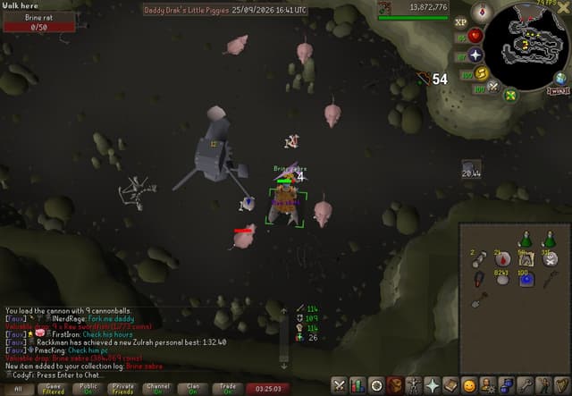 Screenshot of Brine sabre