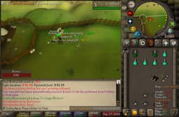 Screenshot of Beef