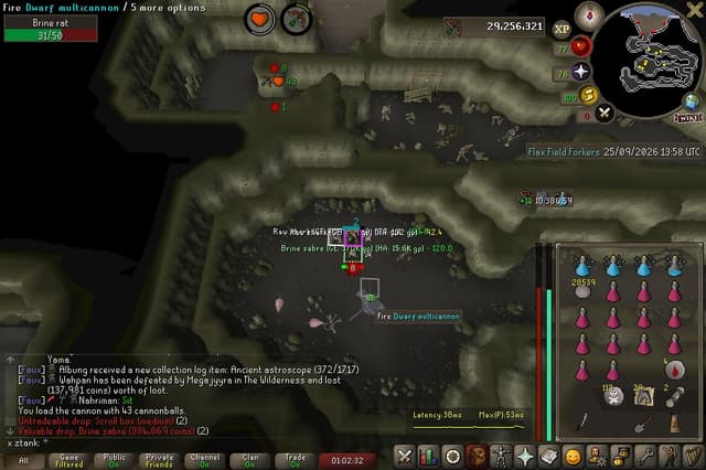Screenshot of Brine sabre