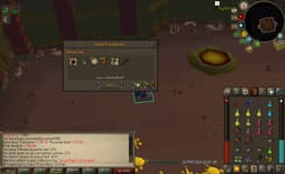 Screenshot of Eye of Ayak (uncharged)