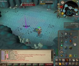 Screenshot of Zenyte shard