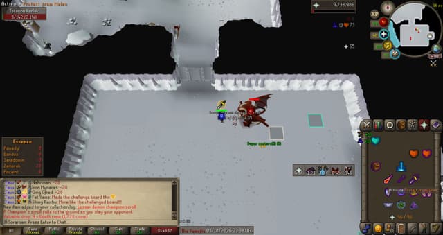 Screenshot of Lesser demon champion scroll
