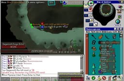 Screenshot of Berserker ring