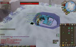 Screenshot of Vorkath's head