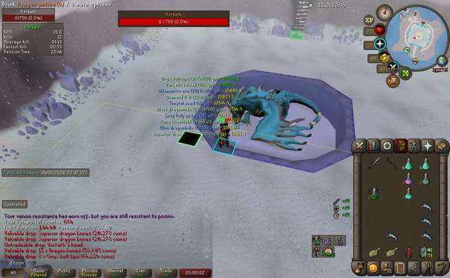 Screenshot of Vorkath's head
