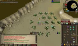Screenshot of Dragon chainbody