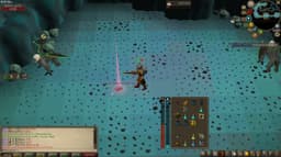 Screenshot of Zenyte shard