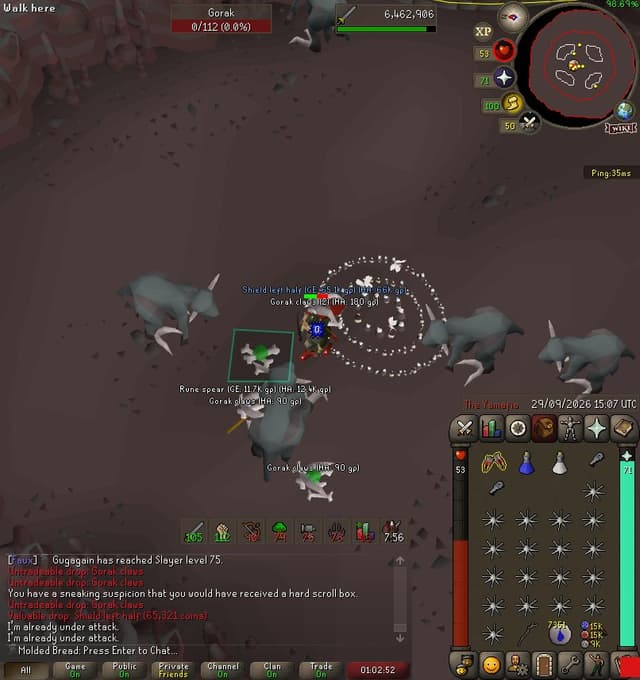 Screenshot of Shield left half