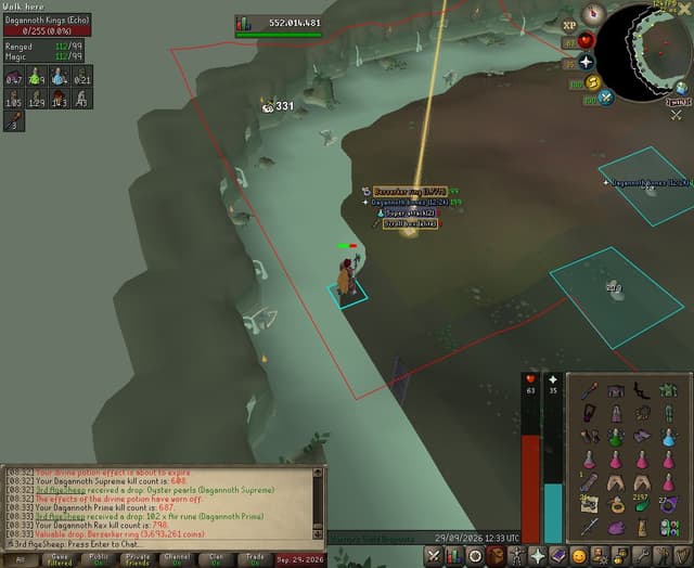 Screenshot of Berserker ring