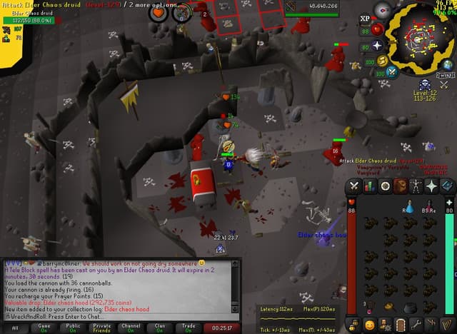 Screenshot of Elder chaos hood