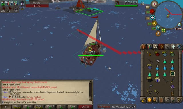 Screenshot of Narwhal horn