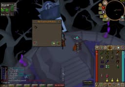 Screenshot of Zorya's tome (uncharged)