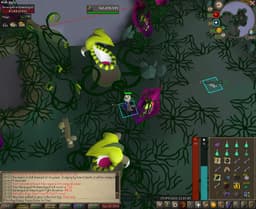 Screenshot of Steel ring
