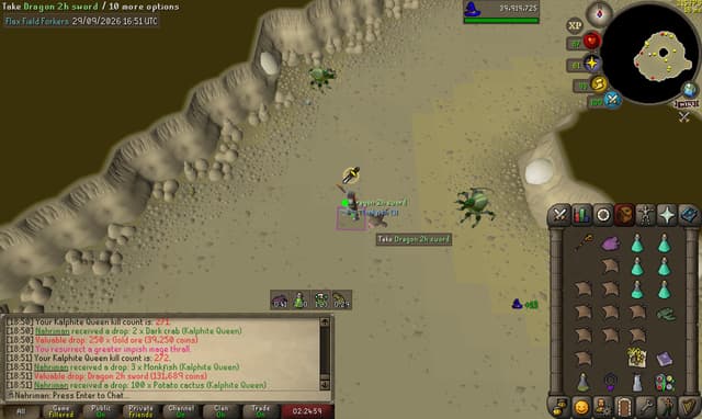 Screenshot of Dragon 2h sword