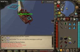 Screenshot of Narwhal horn