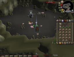 Screenshot of Brine sabre