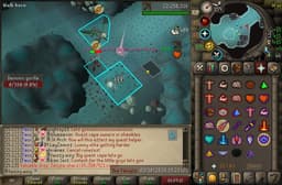 Screenshot of Zenyte shard