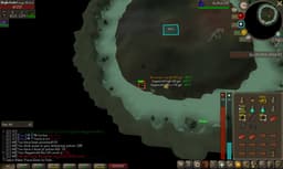Screenshot of Berserker ring
