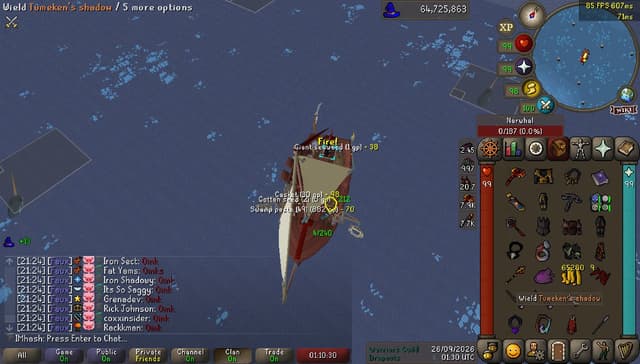 Screenshot of Narwhal horn