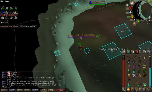 Screenshot of Berserker ring