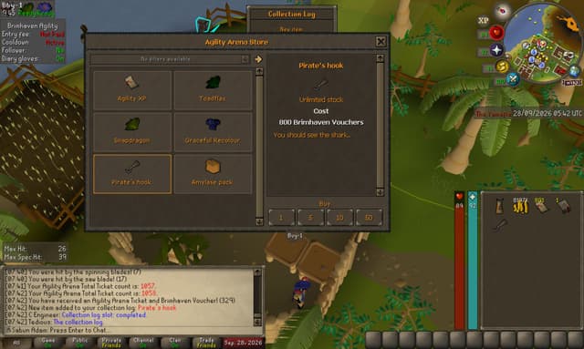 Screenshot of Pirate's hook