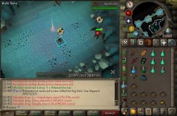 Screenshot of Zenyte shard