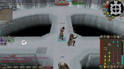 Screenshot of Zaryte vambraces