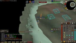 Screenshot of Berserker ring