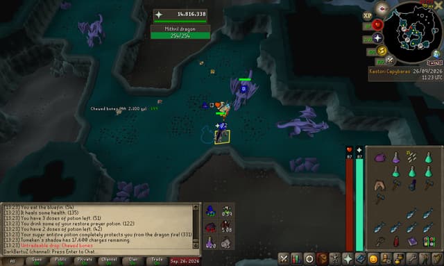 Screenshot of Chewed bones