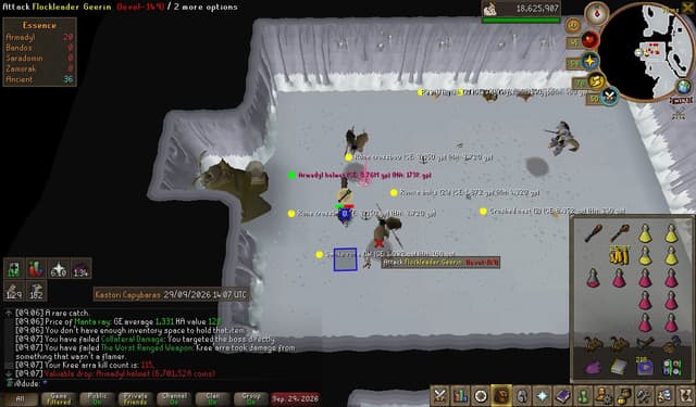 Screenshot of Armadyl helmet