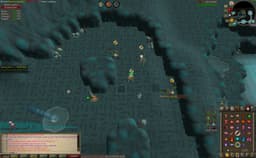 Screenshot of Zenyte shard