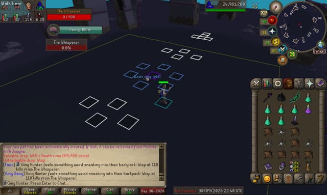 Screenshot of Wisp