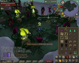 Screenshot of Steel ring
