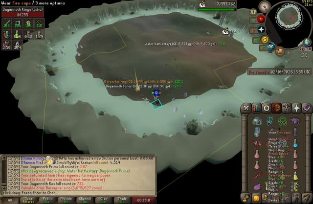 Screenshot of Berserker ring