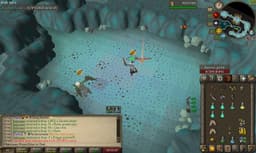 Screenshot of Zenyte shard