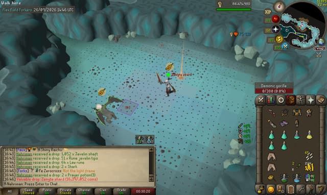 Screenshot of Zenyte shard