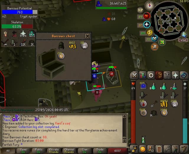 Screenshot of Karil's coif