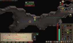 Screenshot of Amulet of avarice